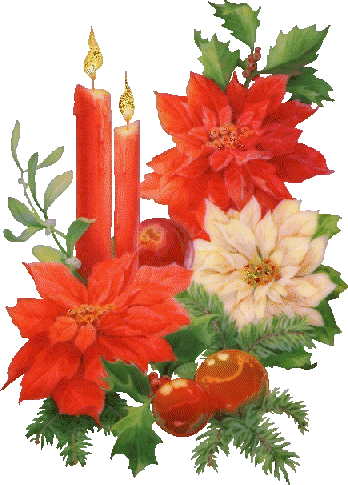 Tweede Advent Plaatje - Stella Di Natale Gif (348x485)