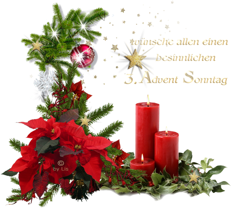 3 - Advent - Christmas In South Africa (803x717)