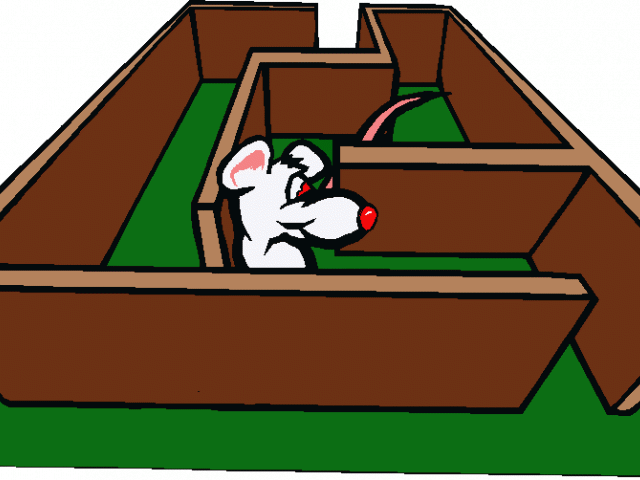 Maze Cliparts - Rat In A Maze (640x480)