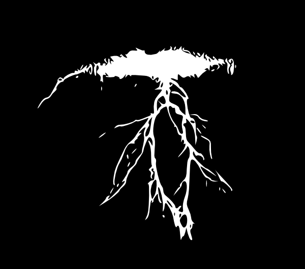 Cartoon Lightning Image Search Results Clipart - Lightning Clip Art (600x528)