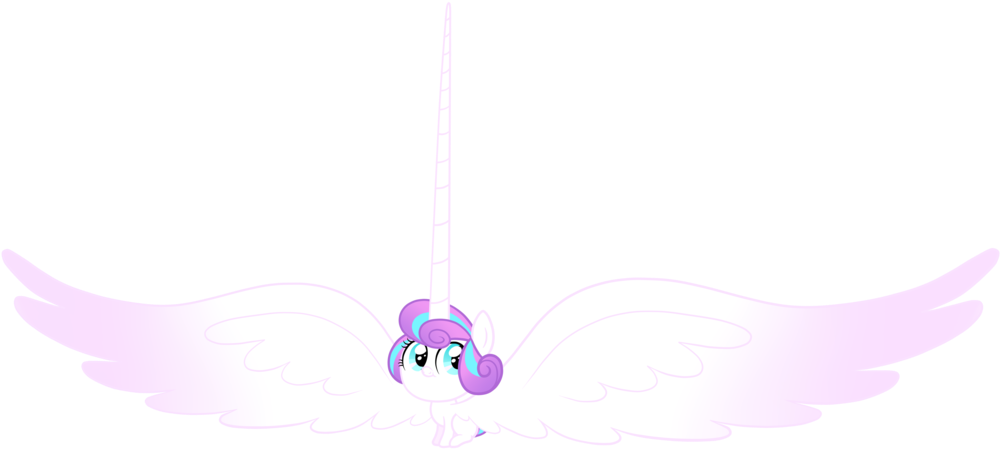 Pony Pink Purple Violet Wing - Elephant (1024x462)