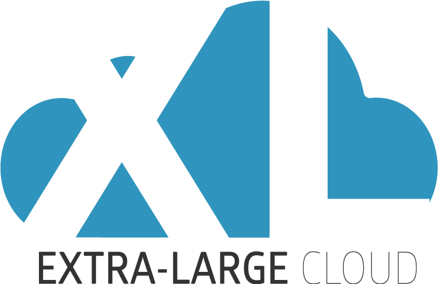 Xl Cloud Server Logo - Cloud Computing (891x587)