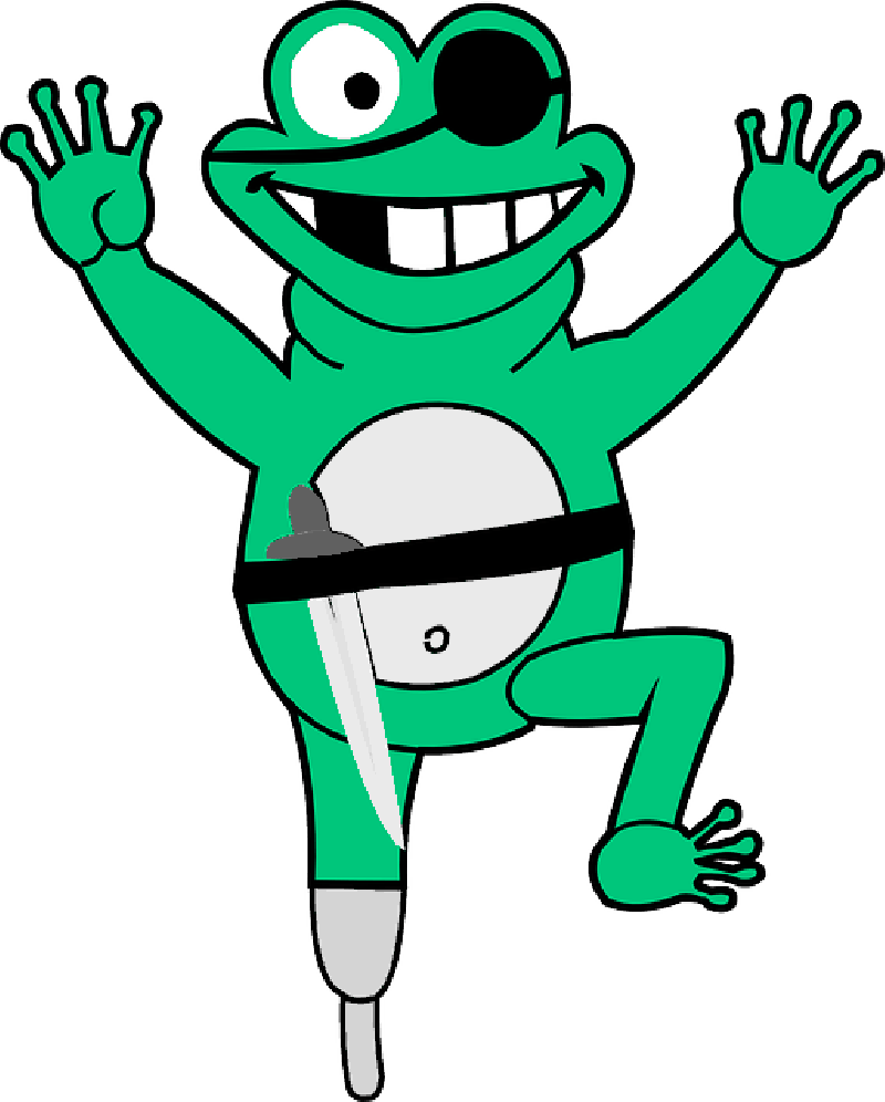 Frog, Pirate, Funny, Green, Animal, Happy - Custom Pirate Frog Sticker (800x996)