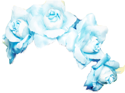 Pastel Blue Flower Crown (500x380)