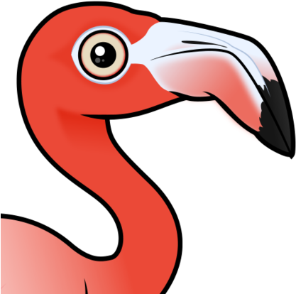 About The American Flamingo - American Flamingo (440x440)