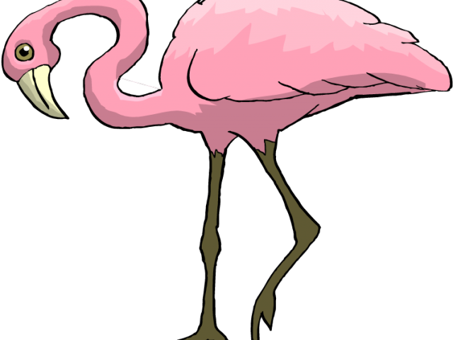 Flamingo Clipart Pink Animal - Pink Bird Long Neck (640x480)