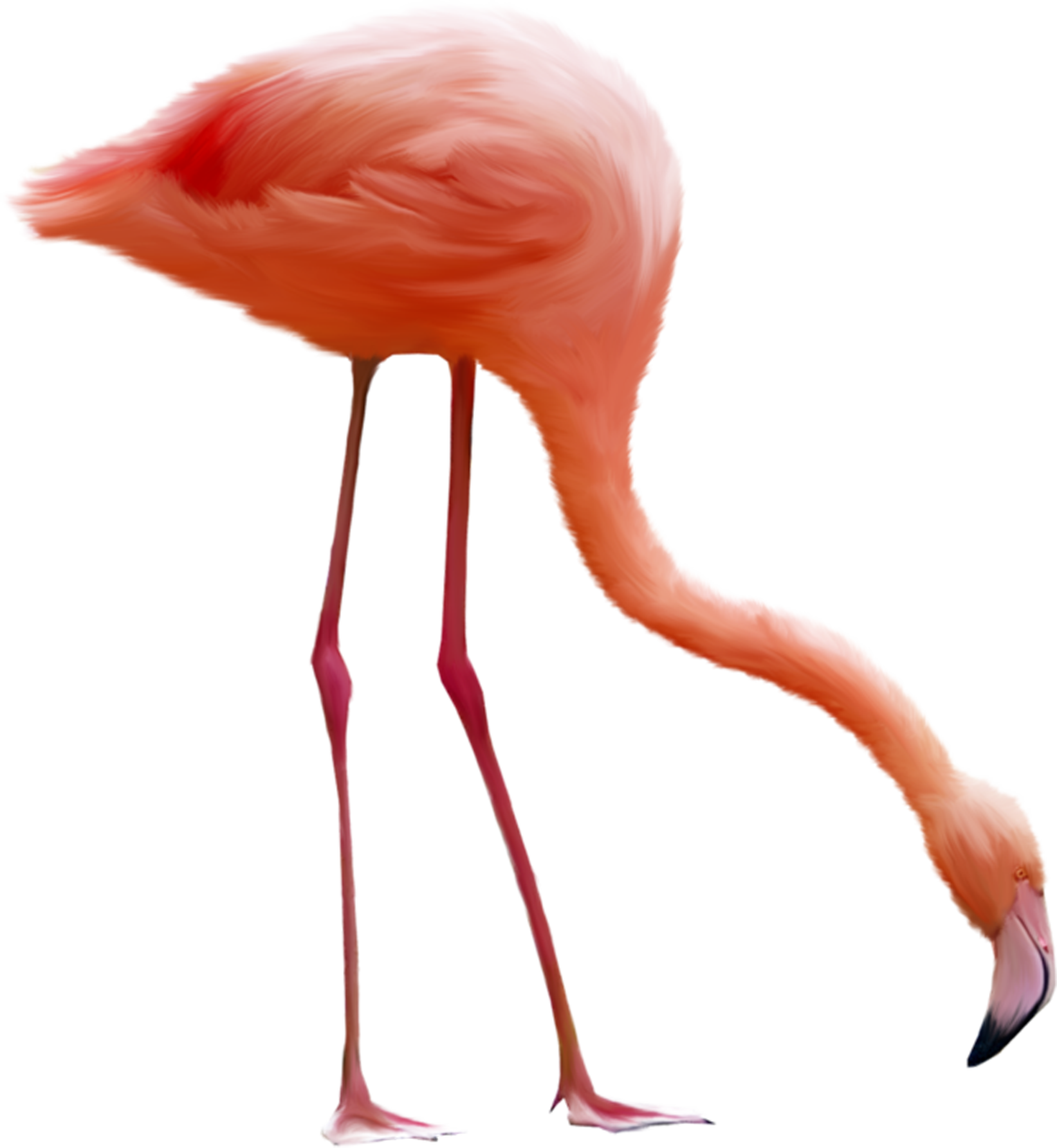 Download Png Image Report - Gif Animés Flamant Rose (1643x1786)