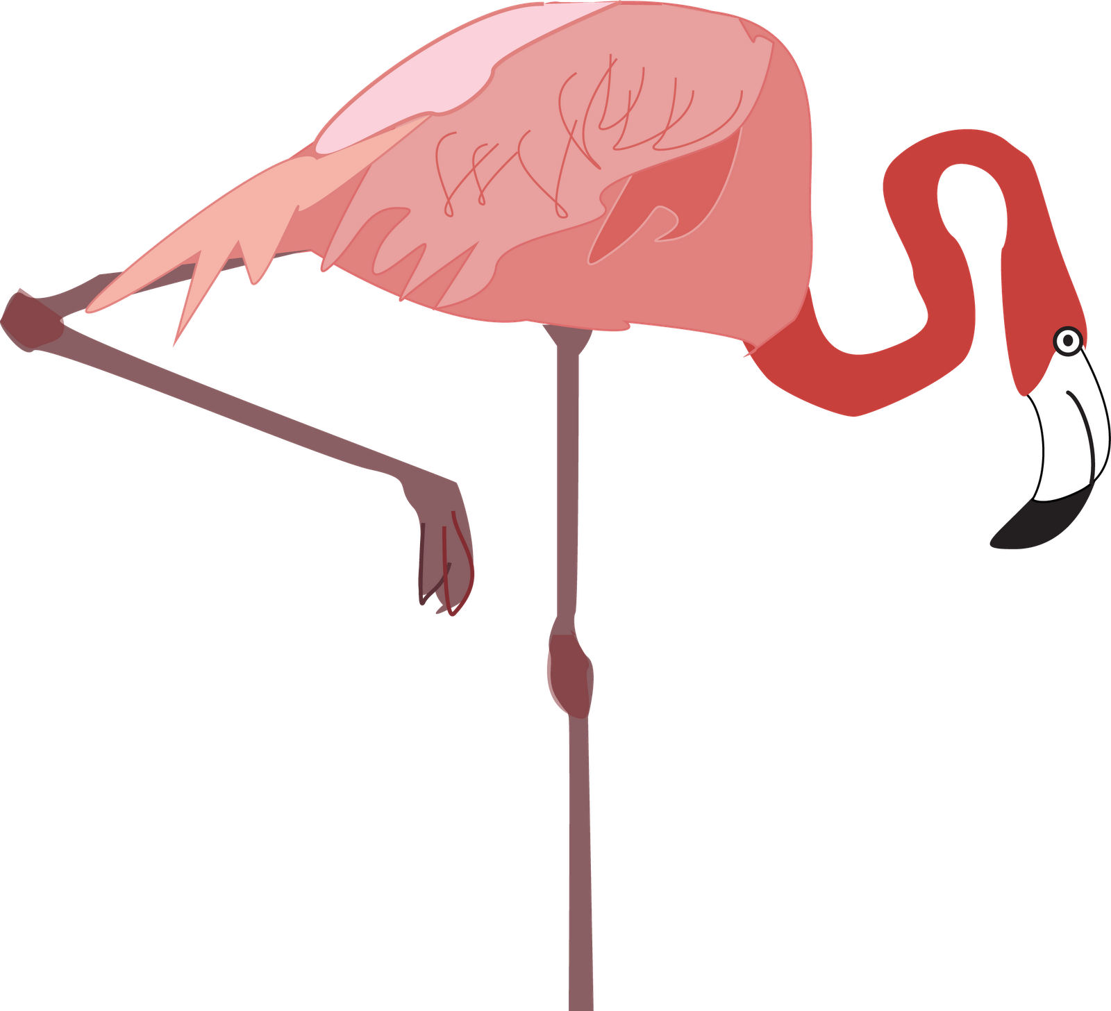 Flamingo - Water Bird (1600x1456)