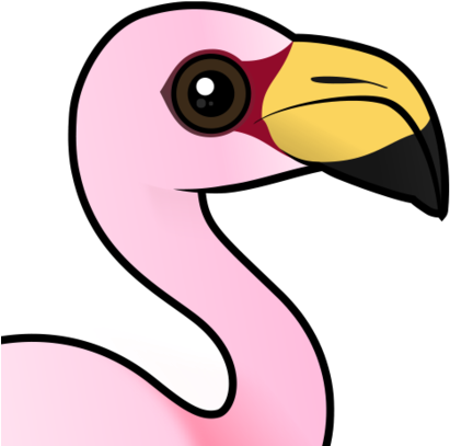 About The James's Flamingo - James's Flamingo (440x440)