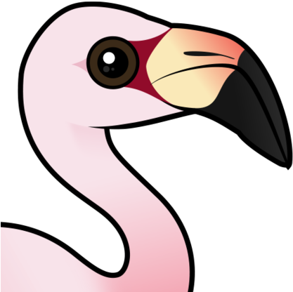 About The Andean Flamingo - Andean Flamingo (440x440)