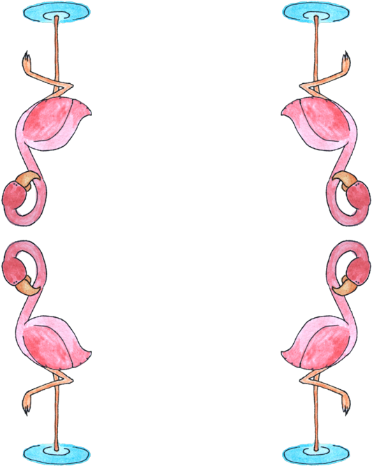 Greater Flamingo (800x684)