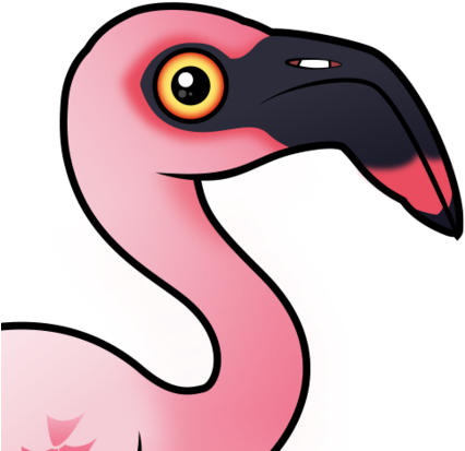 About The Lesser Flamingo - Lesser Flamingo (440x440)