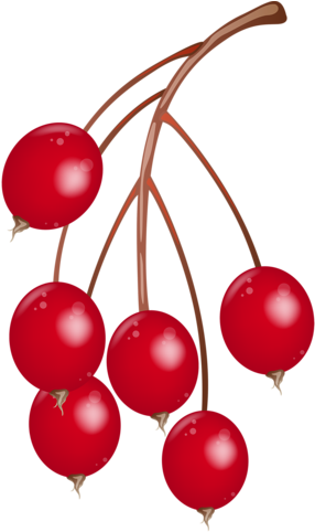 Cherry Tree Clipart Pomegranate - Vector Graphics (367x500)
