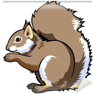 Funny Squirrel T-shirt Gift Shirts (400x400)