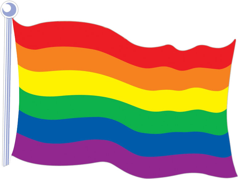 Get Usa Flag - Rainbow Flag Transparent (800x589)