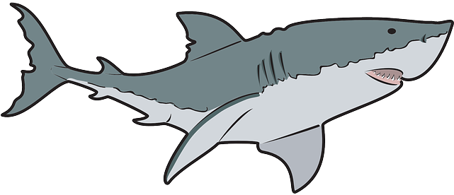 Free To Use Public Domain Shark Clip Art - Billfish (640x320)