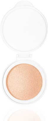 Diorsnow Bloom Perfect Brightening Perfect Moist Cushion - Diorsnow Bloom Perfect Brightening Perfect Moist Cushion (437x533)