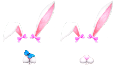 Bunnies, Bunny, And Filter Image - Snapchat Filter Bunny Png (500x303)