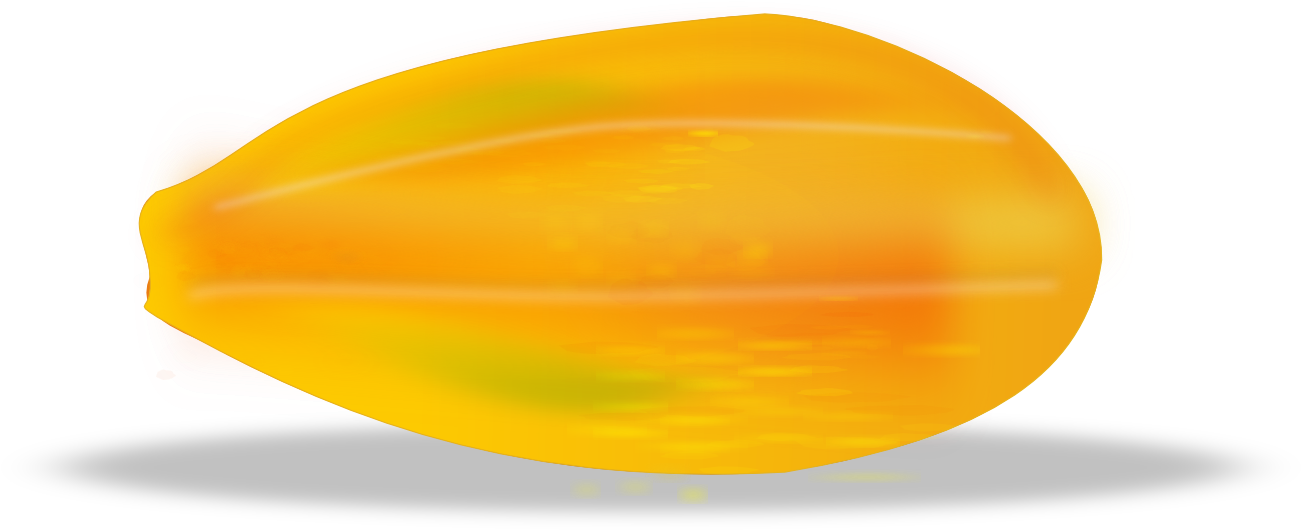 Papaya Clip Art Photo Medium Size - Papaya Clip Art (1332x601)