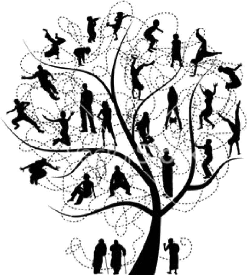 Family Tree Stock Photography Clip Art - My Family Tree Text (1070x959)