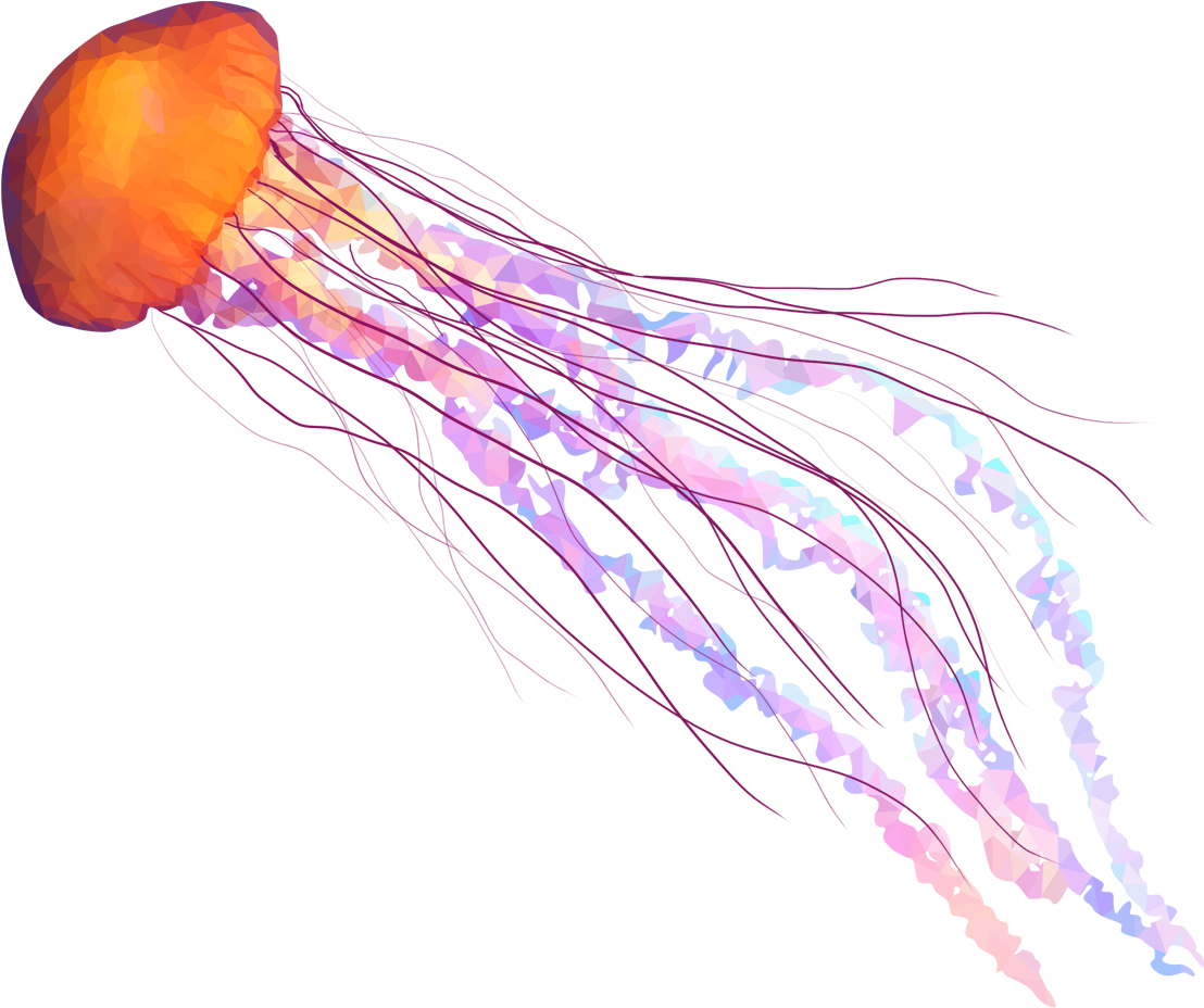 Emmasimoncic - Tumblr - Com - Low Poly Jellyfish Illustration - Jelly Fish Png (1185x1064)