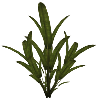 Palm Plant Clipart Photo Png Images - Plant Texture 2d (400x400)