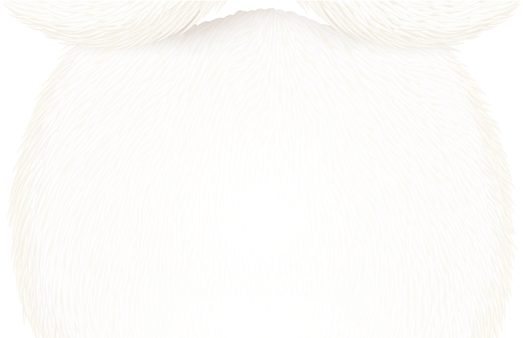 Santa Claus Beard Png Clipart Image Photoshop Png's - Loggerhead Shrike (800x491)