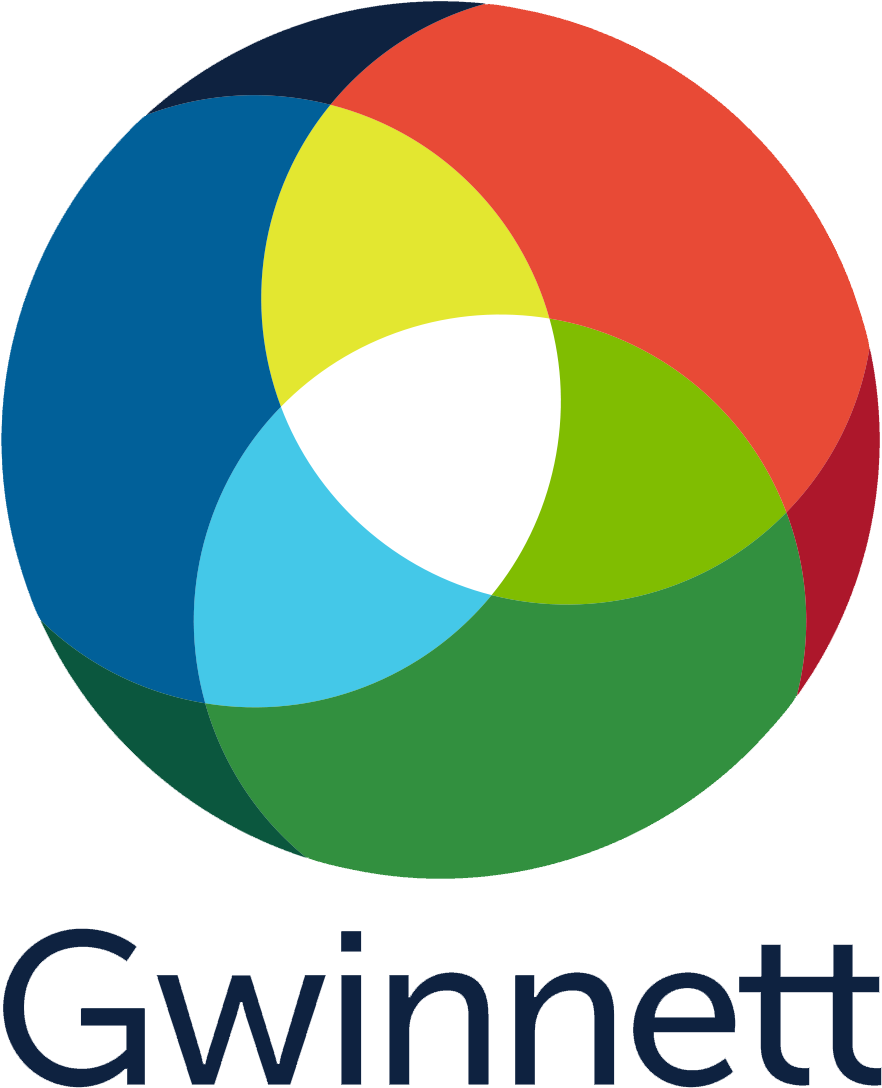 Gwinnett County Government - Gwinnett County Government (1008x1152)