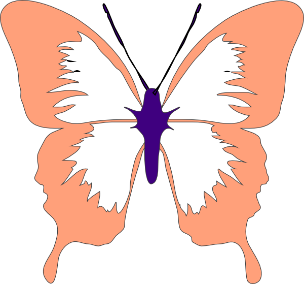 Easy Butterfly Drawings Black And White (600x559)