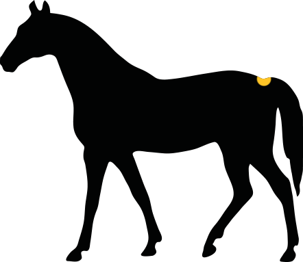 How Would You Describe The Girth Of The Horse - Horse Vector (442x383)