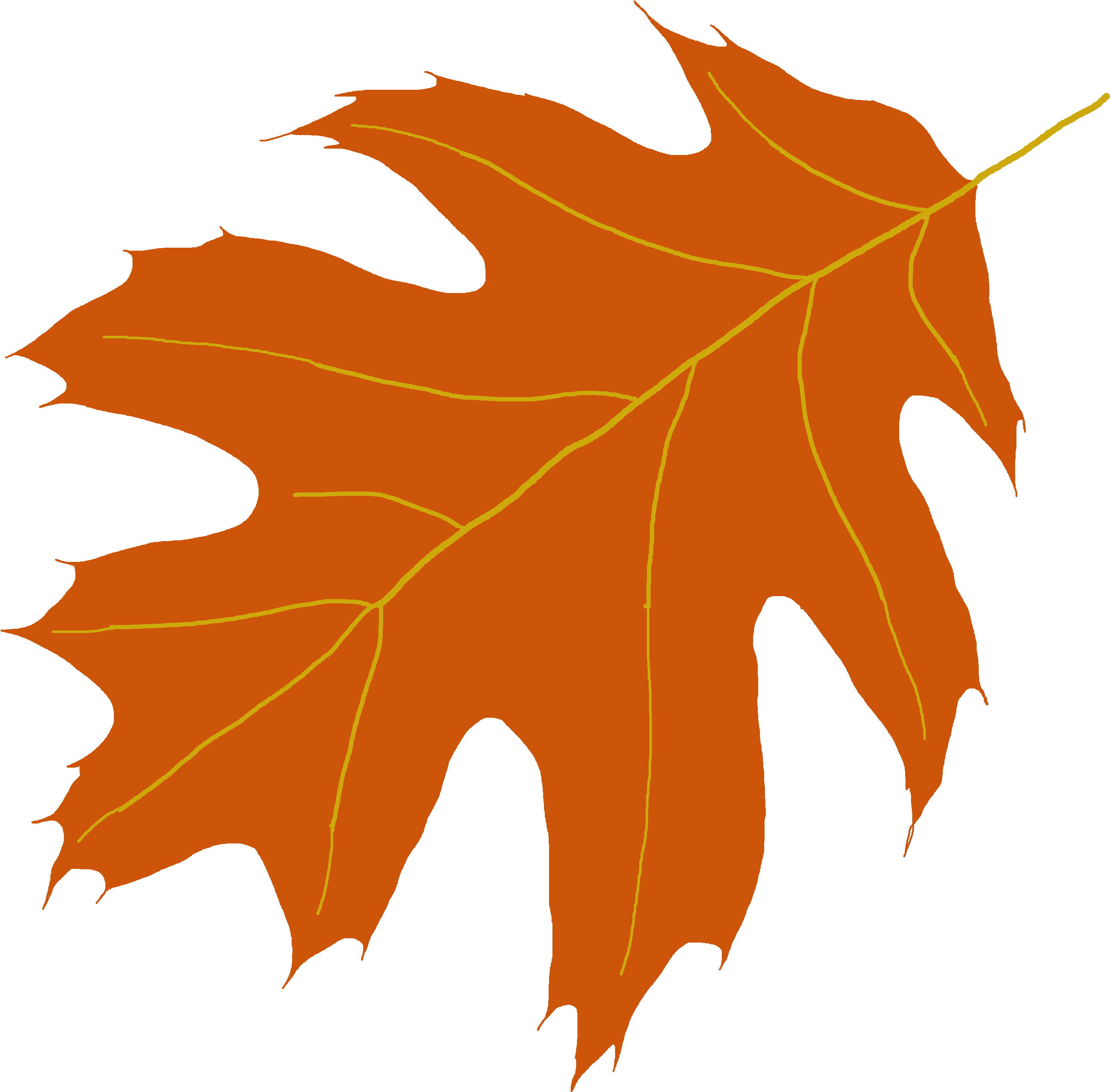Oak Tree Leaf Clipart - Oak Leaves Clip Art (4608x3456)
