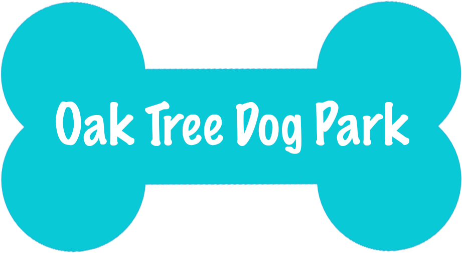 1 - 2 - 3 - - Lmfao Party Rock (1060x596)