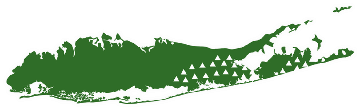Map Of Long Island (1198x393)