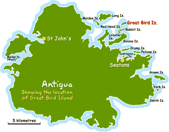 The Island Is About 20 Kilometres In Diameter And 180 - Great Bird Island Antigua Map (538x420)