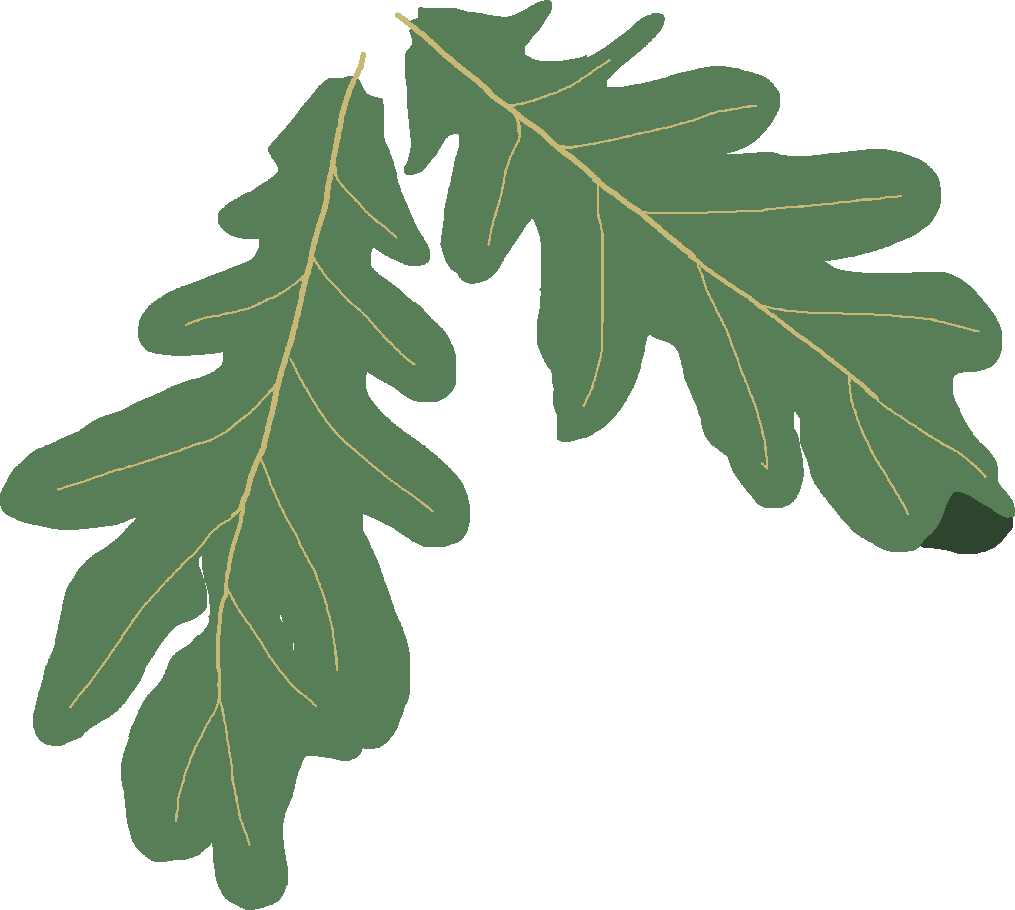 Free, Subject To - Illustration (4608x3456)