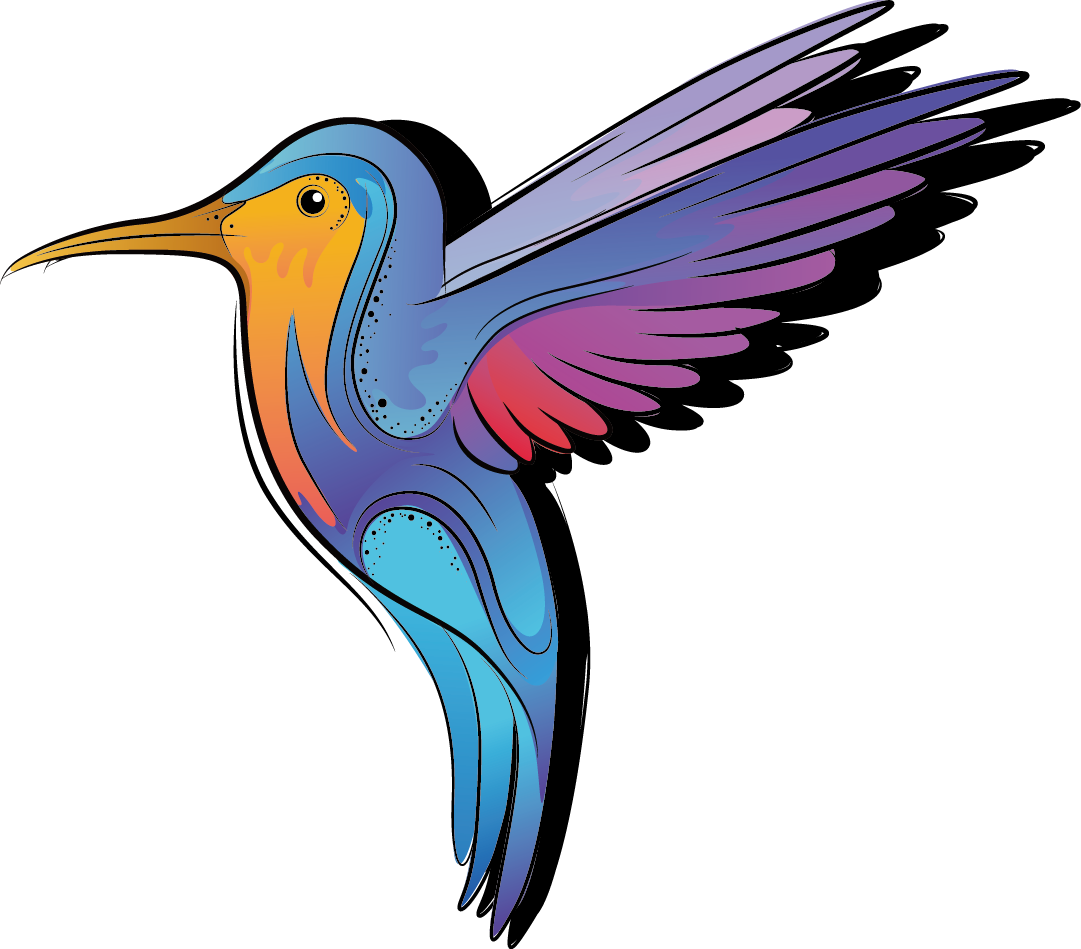 Hummingbird Color Cartoon - Illustration (1081x949)