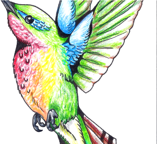 Gothic Tattoos Clipart Hummingbird - Art Design Tattoo Color (640x480)