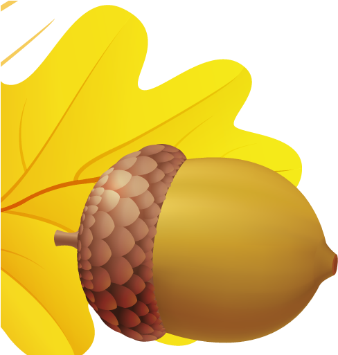Acorn Png Image - Желудь Рисунок Для Детей (529x512)