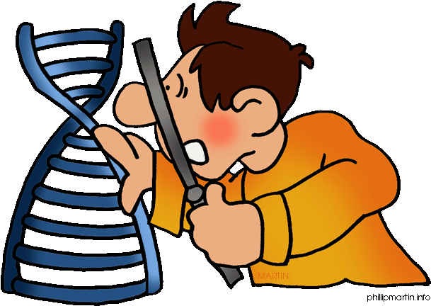 Forensic Science Clip Art At Clker - Genes Clip Art (648x455)