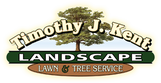 Timothy J Kent Cape Cod Lawn Care Rh Tjkentlandscaping - Landscaping And Tree Service Logo (556x289)