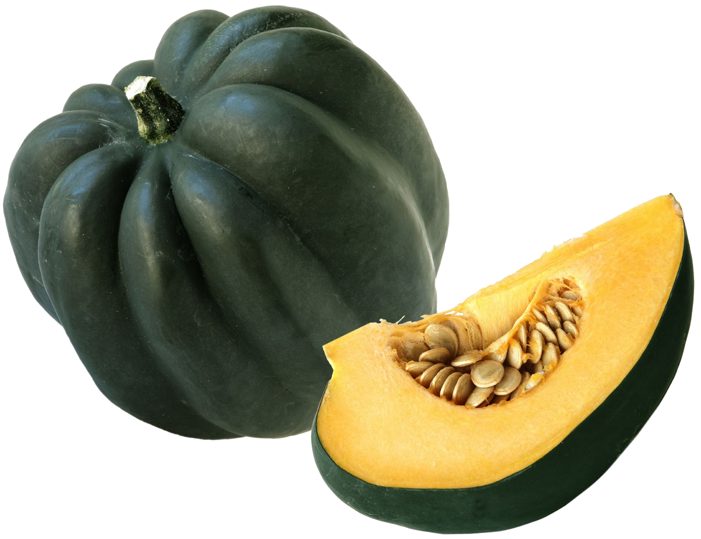 Acorn Squash Png Images Transparent Free Download - Acorn Squash (1600x1372)