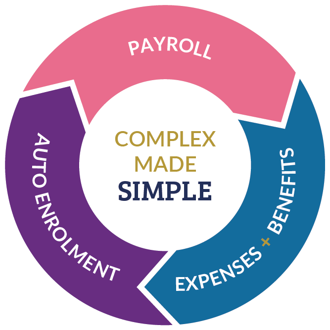 Private Investigator Payroll Software - Anti Palin Bumper Stickers (685x685)