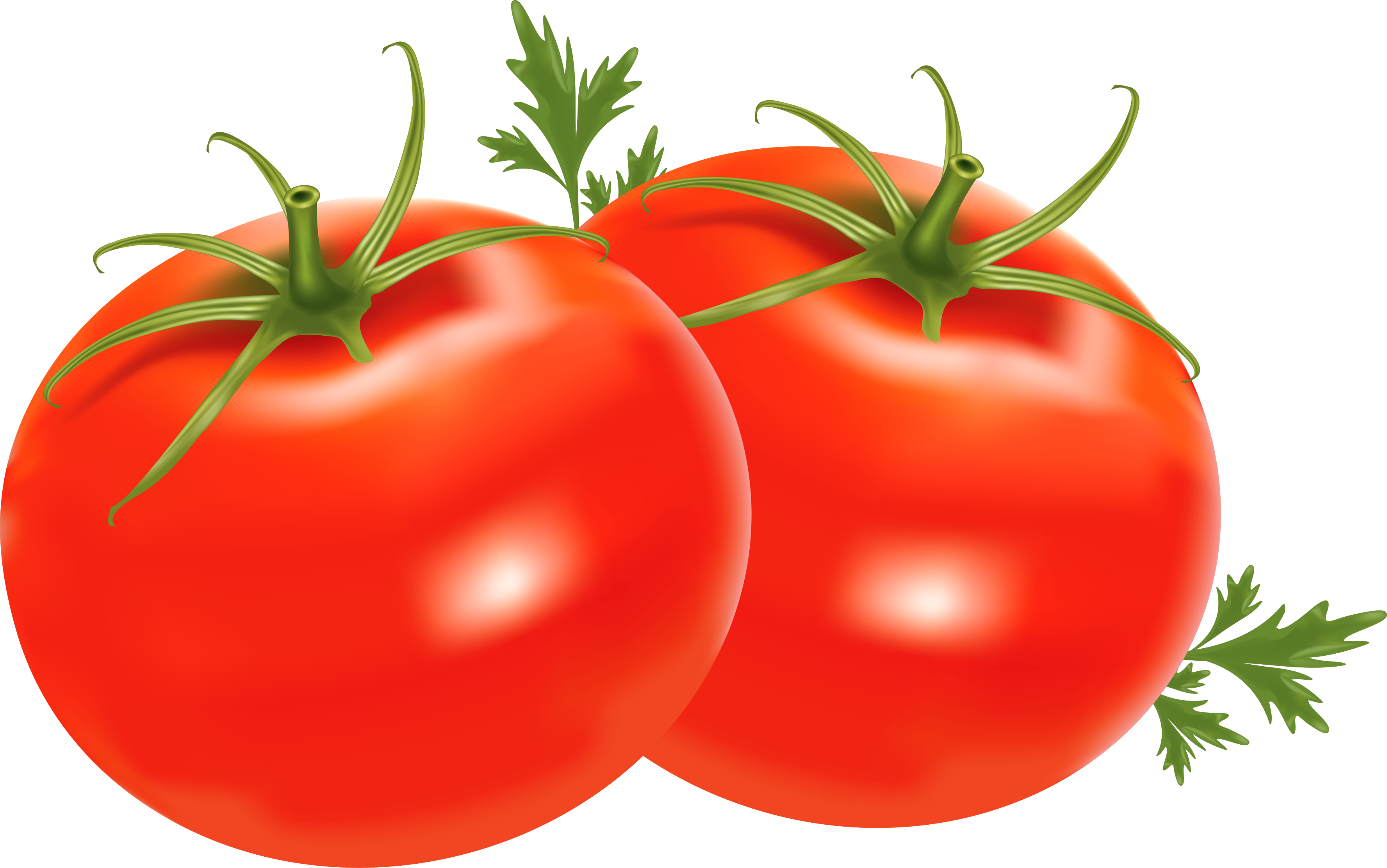 Tomato Clipart No Backround Clipground - Vegetables (3552x2224)