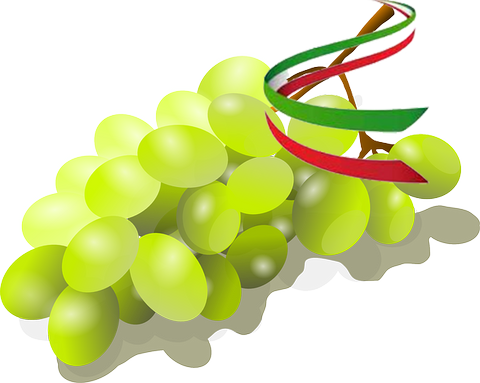 Grapes Clipart Uva - Grape (480x383)