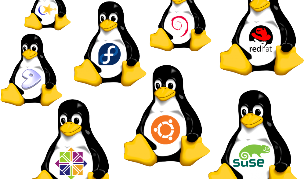 A Primer For Big Data - Linux Distributions Png (1024x585)