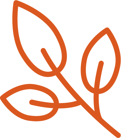 Sports And Living - Green Tea (407x465)