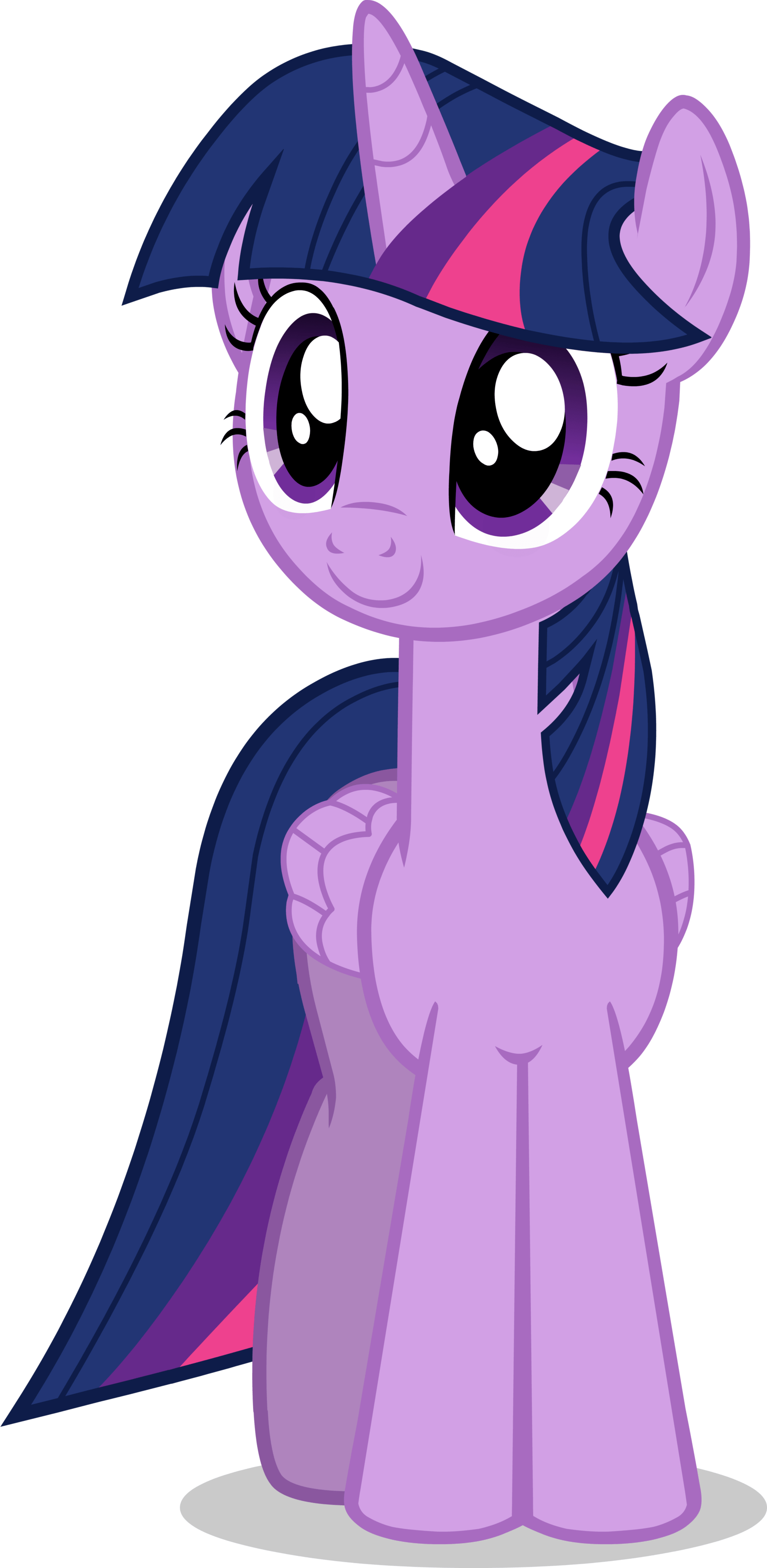 Twilight Sparkle (1600x3272)