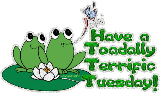 At Last, A Full Day Of School Not Only Was It A Full - Happy Tuesday Free Clip Art (509x296)