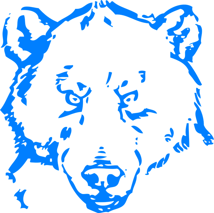 Bear Head Angry - Black And White Bears Clipart (722x720)
