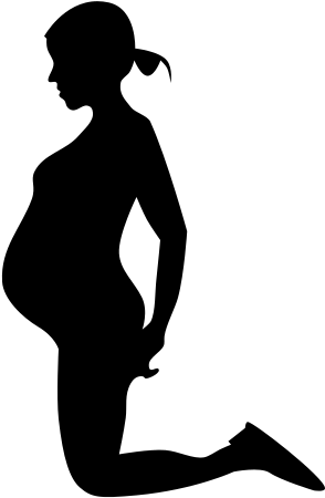 Pregnant Profile Iv - Wikimedia Commons (300x450)